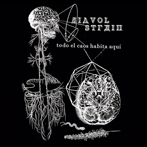 Diavol Strâin - Todo el Caos Habita Aqui LP